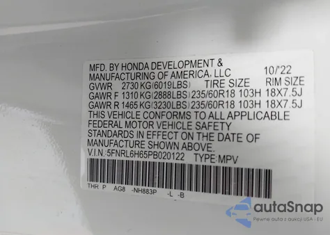 2023 Honda Odyssey Ex-L z USA, uszkodzony, nr VIN 5FNRL6H65PB020122